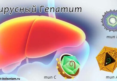 Профилактика вирусных гепатитов